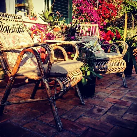 Roofgarden *