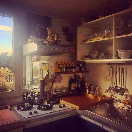 Roofgarden